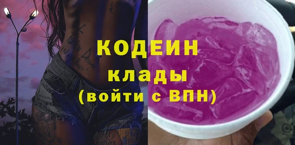 индика Волосово