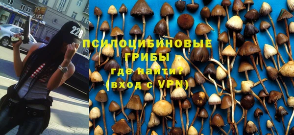 молекула духа Вяземский