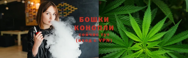 индика Волосово