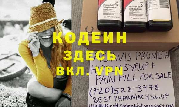индика Волосово
