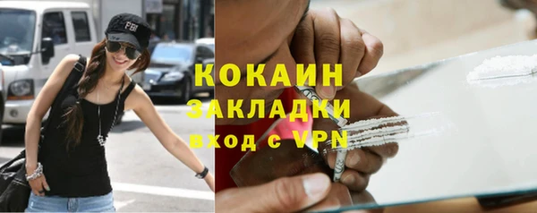 индика Волосово