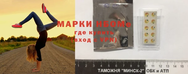 индика Волосово