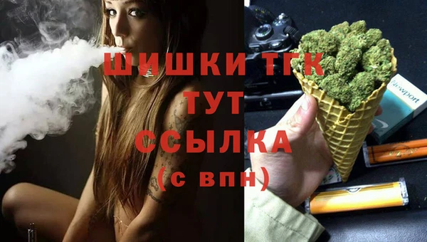 индика Волосово