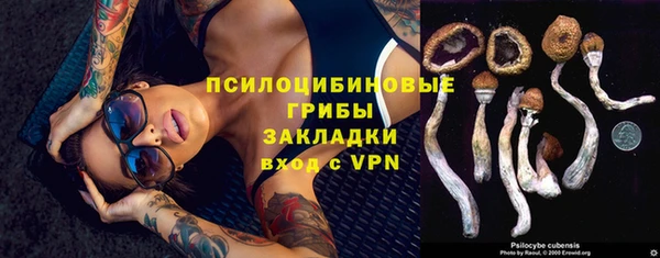 индика Волосово