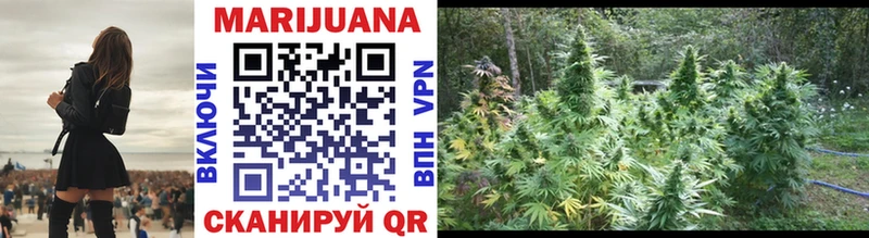 продажа наркотиков  Электрогорск  Конопля Ganja 